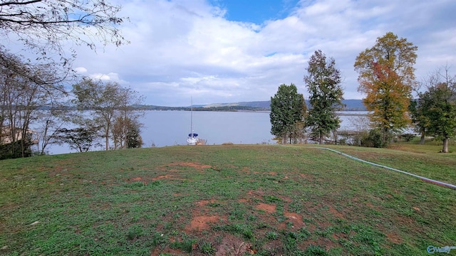 236 Pinewood Dr, Langston AL, 35755 land for sale