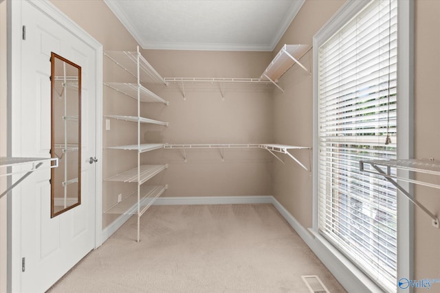 walk in closet featuring visible vents and light carpet