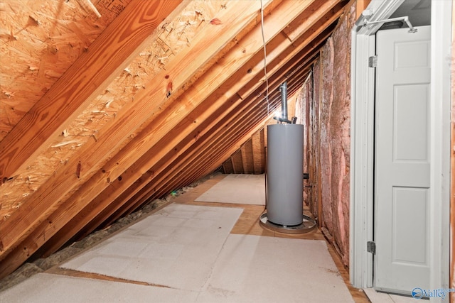 attic featuring water heater