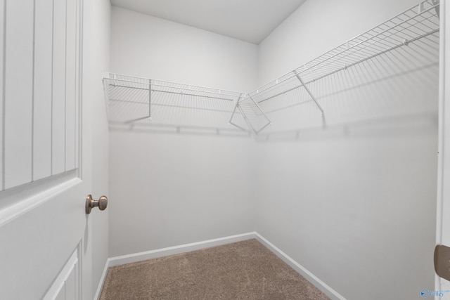 138 Barlow Way, Owens Cross Roads, AL 35763 - walk in closet with carpet floors