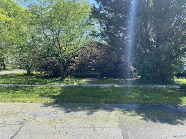 1022 Stevens Ave NE, Huntsville, AL 35801 - view of yard