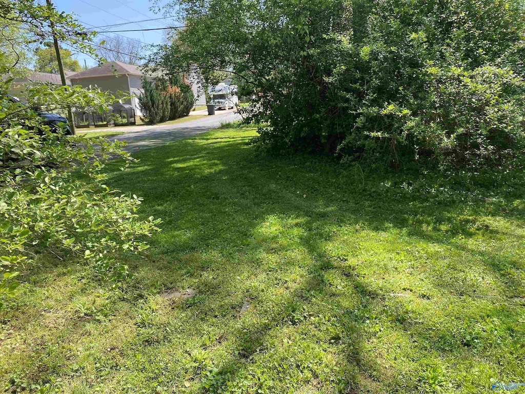 1022 Stevens Ave NE, Huntsville, AL 35801 - view of yard