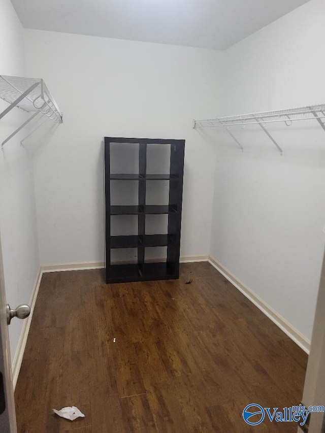 spacious closet with wood finished floors