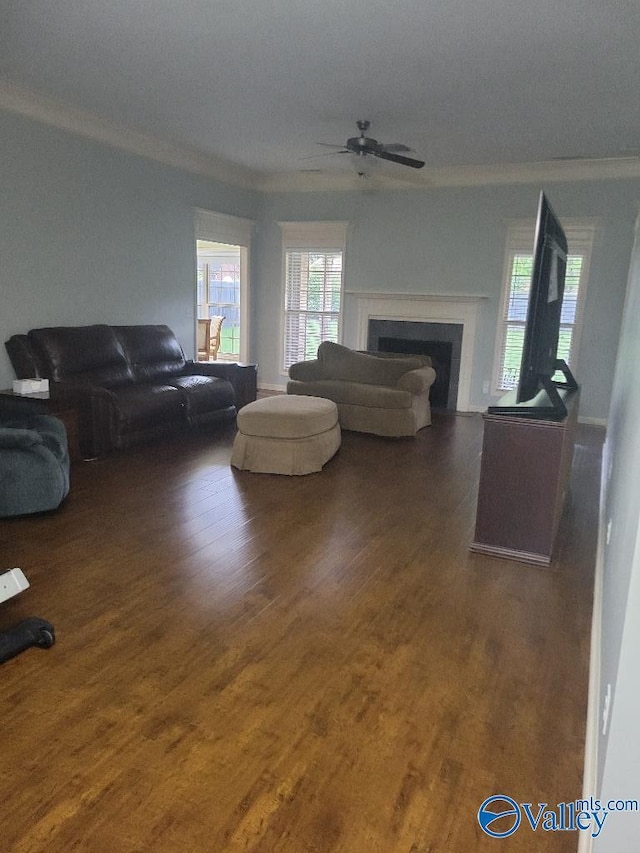 living room featuring a fireplace, wood finished floors, a ceiling fan, and crown molding