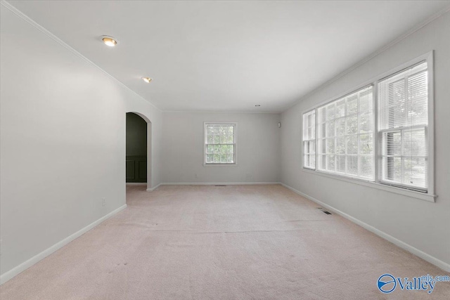 carpeted spare room with ornamental molding