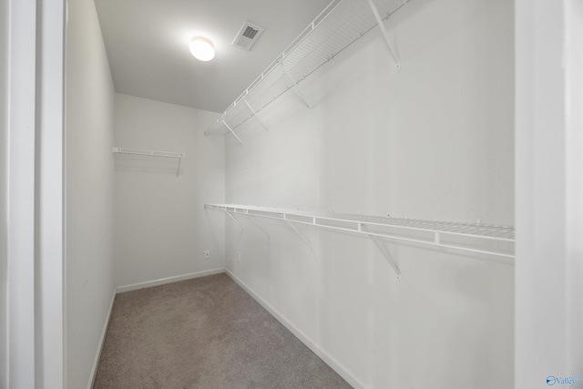 walk in closet with carpet flooring