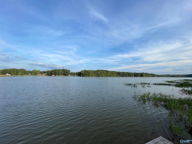 Listing photo 2 for 4.5AC Sherry Ln, Gadsden AL 35903