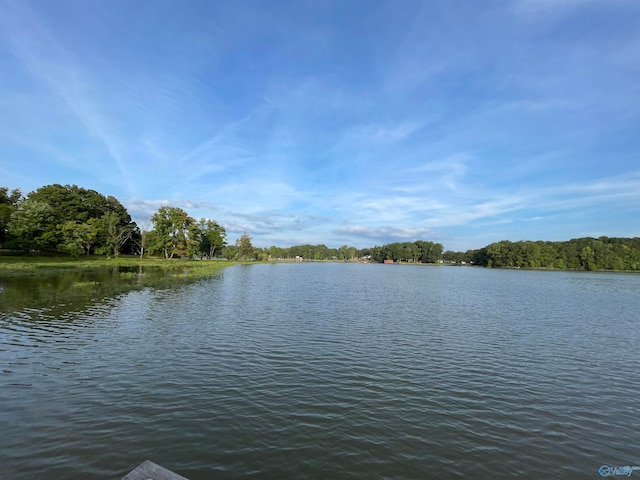 Listing photo 3 for 4.5AC Sherry Ln, Gadsden AL 35903