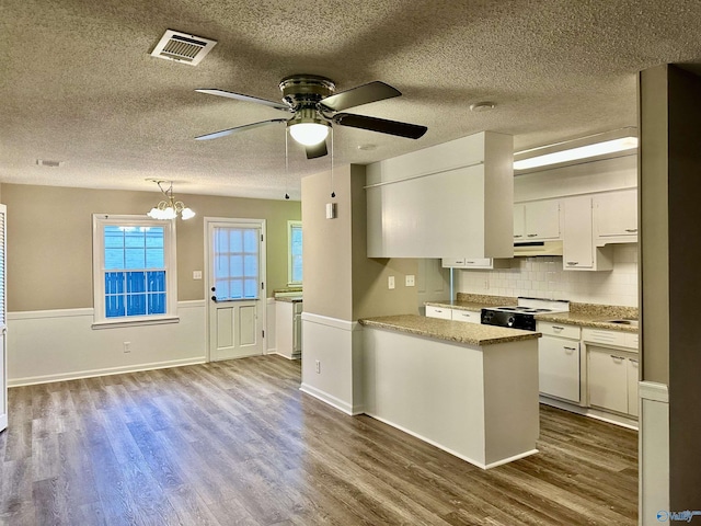 kitchen with wood-type flooring, white cabinetry, tasteful backsplash, and white range oven