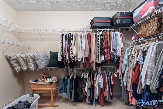 walk in closet featuring carpet