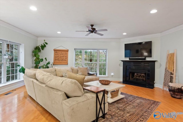 living room featuring ceiling fan, crown molding, and light hardwood / wood-style flooring