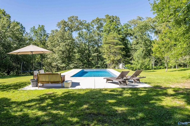 view of pool with a trampoline, a yard, and a patio