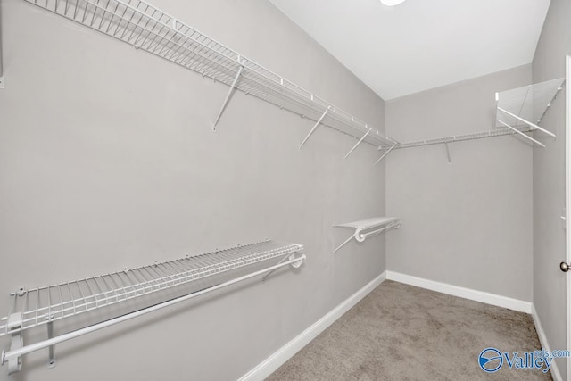 walk in closet featuring carpet