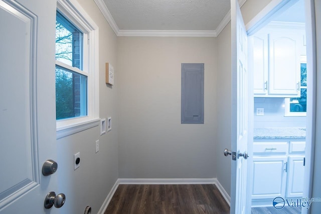 laundry room with electric dryer hookup, electric panel, crown molding, dark hardwood / wood-style floors, and a textured ceiling