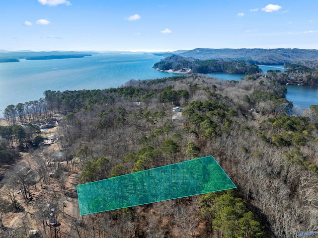 LOT39 Holiday Shores Rd, Scottsboro AL, 35769 land for sale