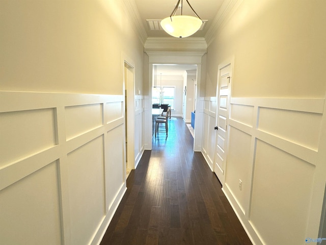 corridor with crown molding, wainscoting, dark wood-style floors, and a decorative wall