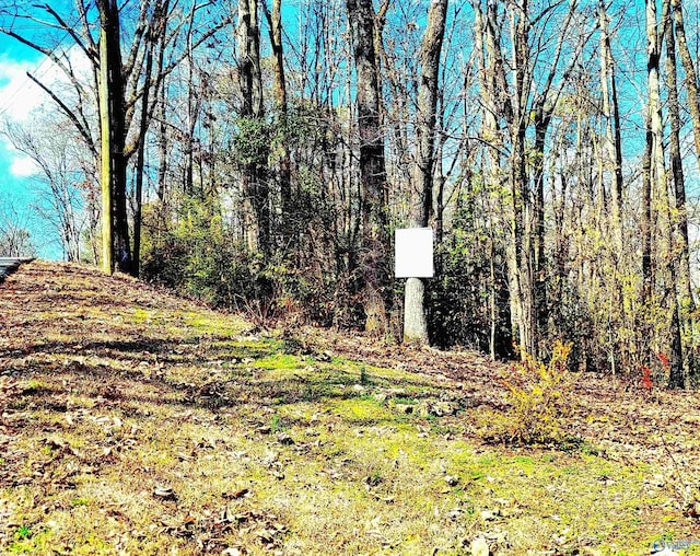 Listing photo 3 for 1808 Brown St, Guntersville AL 35976