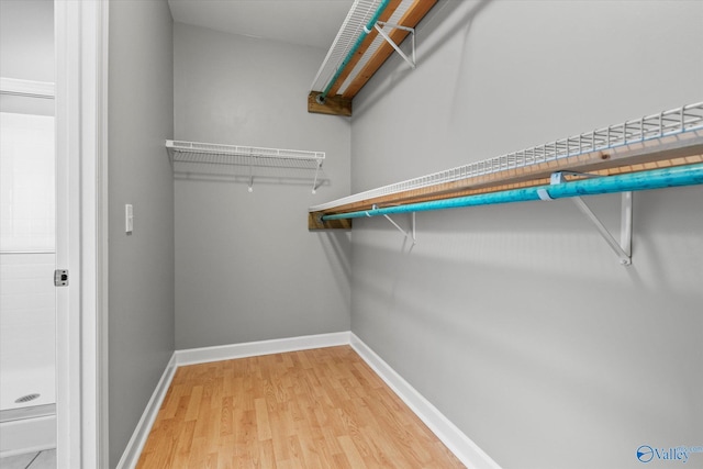 walk in closet featuring wood-type flooring