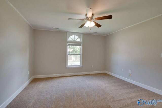 spare room with ceiling fan, carpet floors, and ornamental molding