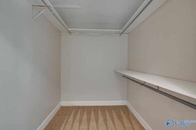 walk in closet featuring light carpet