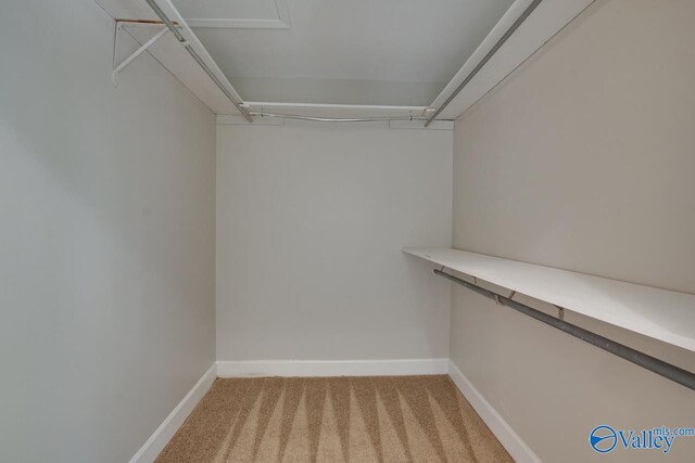 119 Victoria Dr, Madison, AL 35758 - spacious closet featuring light carpet