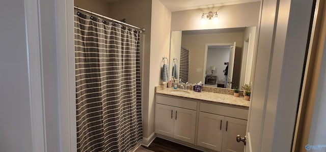 bathroom with wood-type flooring and vanity