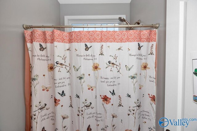 133 Mill Park Ln, Madison, AL 35758 - bathroom with curtained shower