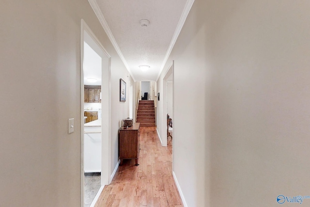 hall featuring light wood-type flooring, crown molding, and a textured ceiling