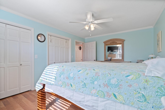 bedroom featuring ceiling fan, light hardwood / wood-style floors, ornamental molding, and two closets