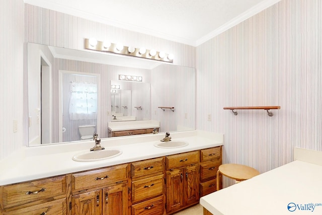 bathroom featuring toilet, vanity, and crown molding