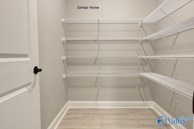 HIGHPOINTB2 Mallard Dr, Madison, AL 35756 - view of pantry
