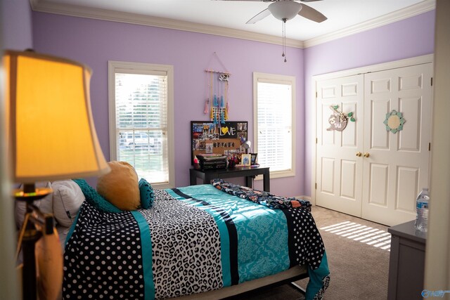 bedroom with ceiling fan, carpet floors, a closet, and ornamental molding