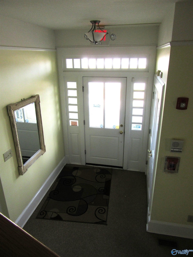 foyer with a healthy amount of sunlight