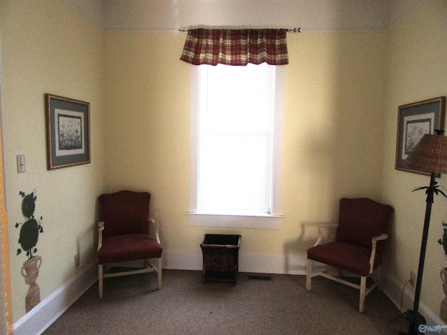 sitting room with carpet flooring and plenty of natural light