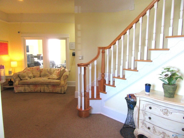 stairs with carpet flooring