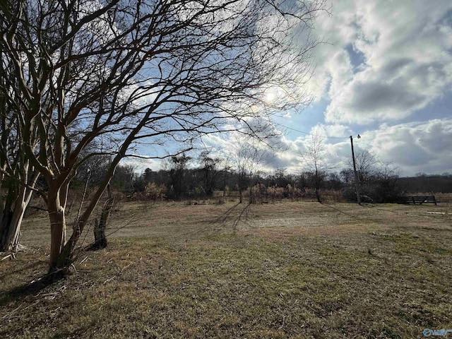 view of yard featuring a rural view