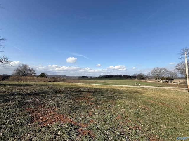 view of yard with a rural view