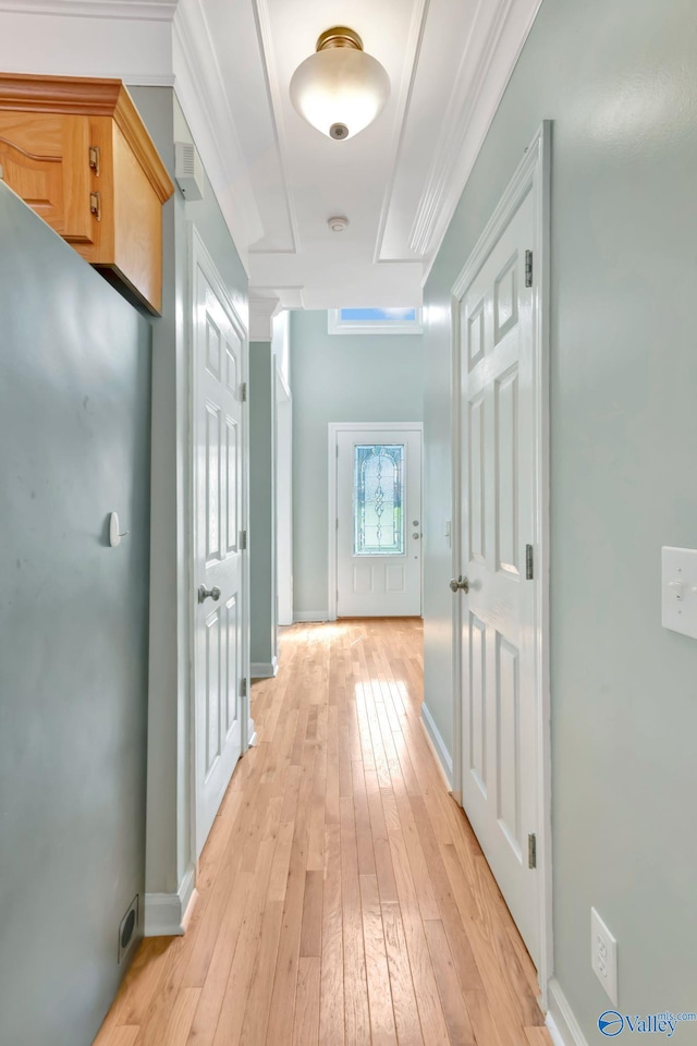 133 Raccoon Trce, Huntsville, AL 35806 - corridor with light wood-style floors