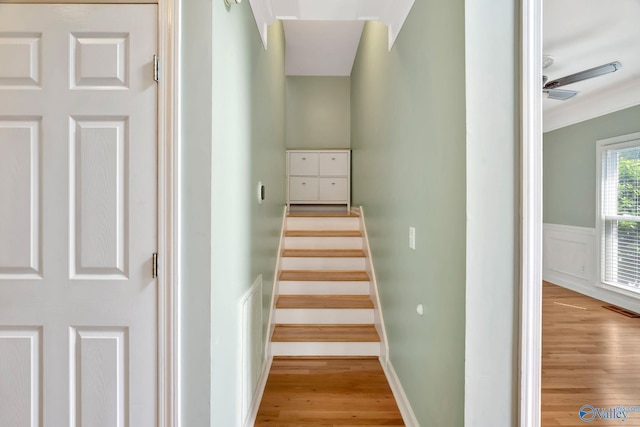 133 Raccoon Trce, Huntsville, AL 35806 - stairway with wood finished floors, ceiling fan, and wainscoting