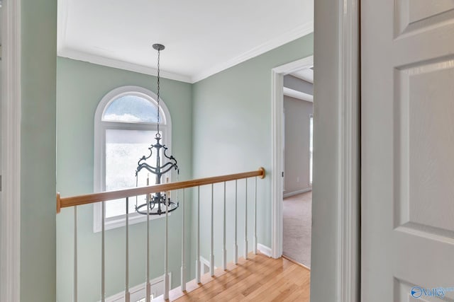 133 Raccoon Trce, Huntsville, AL 35806 - hall featuring a chandelier, wood finished floors, crown molding, and an upstairs landing