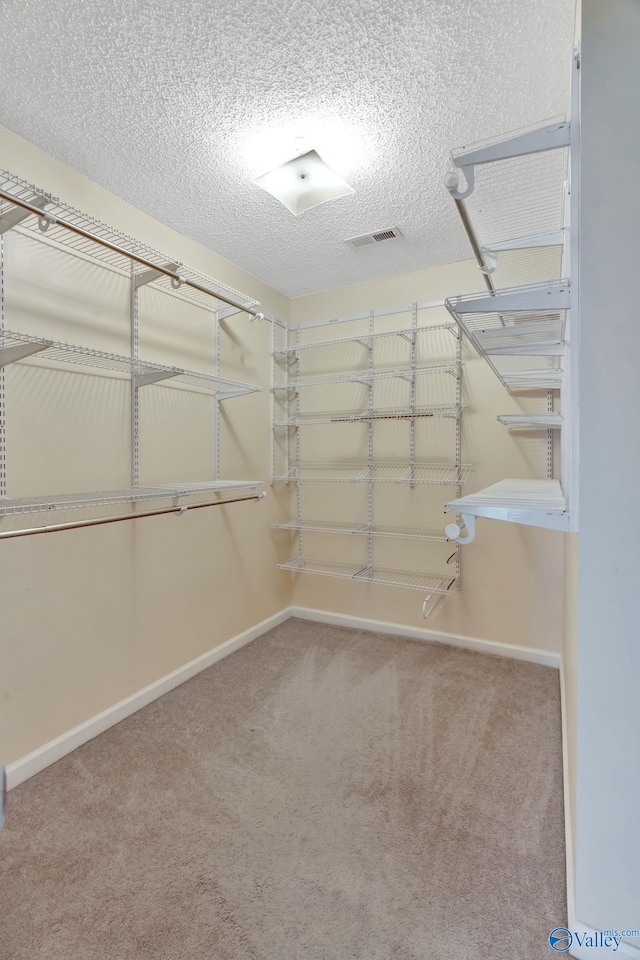 133 Raccoon Trce, Huntsville, AL 35806 - walk in closet with carpet floors