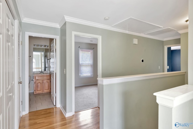 133 Raccoon Trce, Huntsville, AL 35806 - hall featuring attic access, crown molding, and light wood-style floors