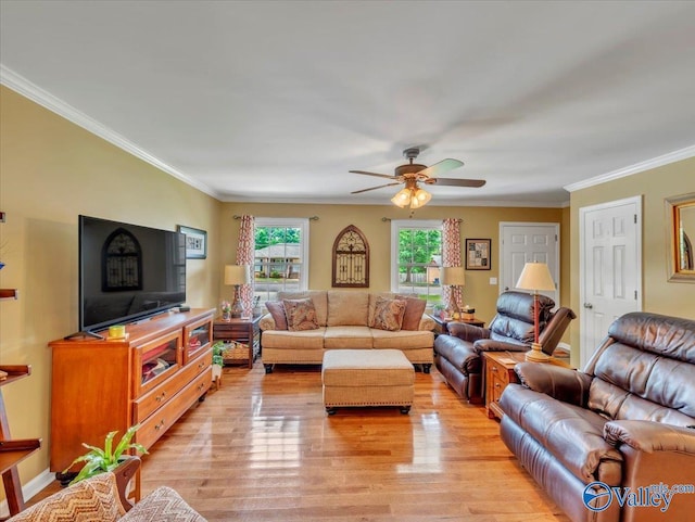 living area featuring a ceiling fan, light wood finished floors, and crown molding