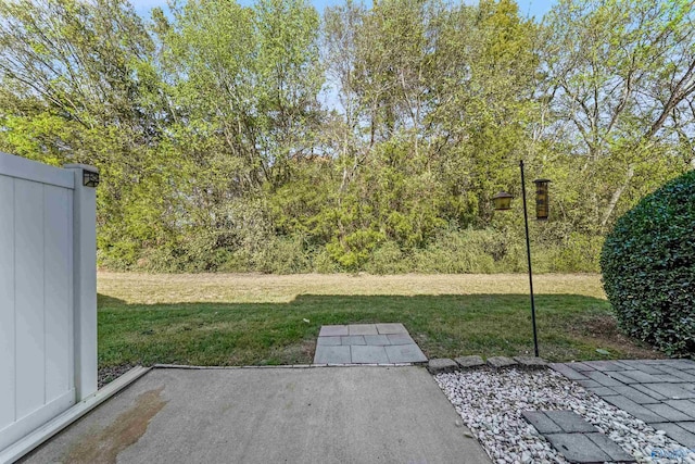 view of yard featuring a patio