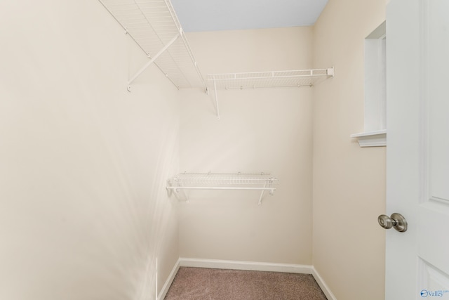 232 Falling Water Ln, Madison, AL 35756 - spacious closet featuring carpet flooring