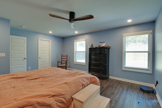 bedroom featuring dark wood-type flooring, multiple windows, and ceiling fan