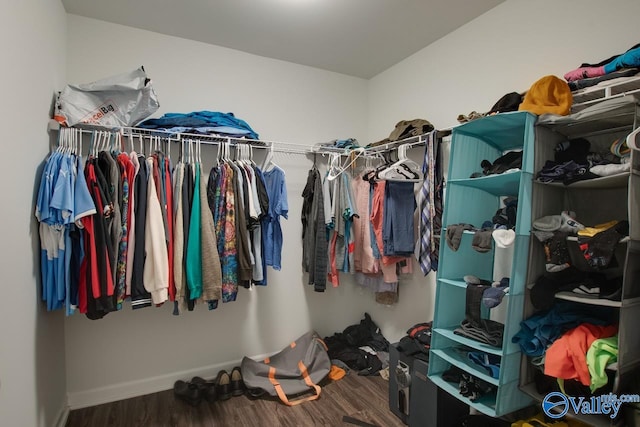 spacious closet with hardwood / wood-style flooring