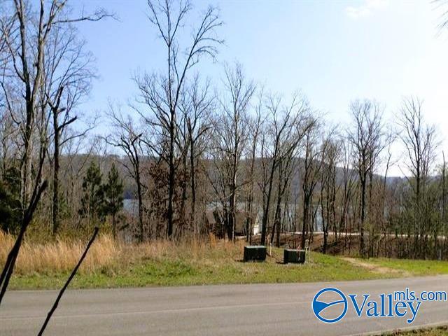 Listing photo 3 for 166 Lookout Mountain Dr, Scottsboro AL 35769