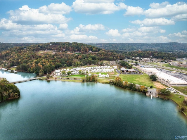 drone / aerial view with a view of trees and a water view