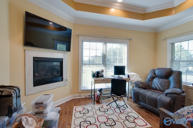 office featuring light hardwood / wood-style flooring, ornamental molding, plenty of natural light, and a raised ceiling